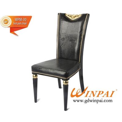 North America Markets Hot Sales Manufacturer Product WINPAI Dining Chair 